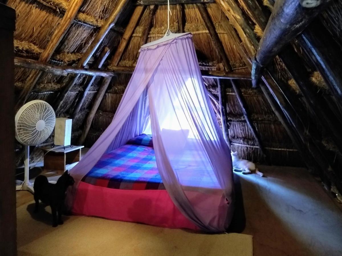 Casitas Kinsol Hotel Puerto Morelos Eksteriør billede