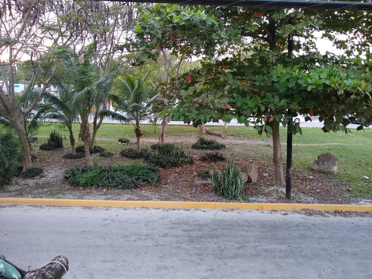 Casitas Kinsol Hotel Puerto Morelos Eksteriør billede